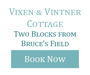 Vixen and Vintner - When Do I Go?
