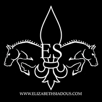 ES Sporthorses - New Direction Events. 
