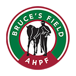 Aiken Horse Park Foundation, Bruce's Field Horse Shows - When Do I  Go? 