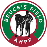 Aiken Horse Park Foundation, Bruce's Field Horse Shows - When Do I  Go? 